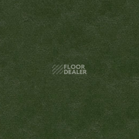 Линолеум Forbo Marmoleum Decibel on Order 335935 bottle green фото 1 | FLOORDEALER